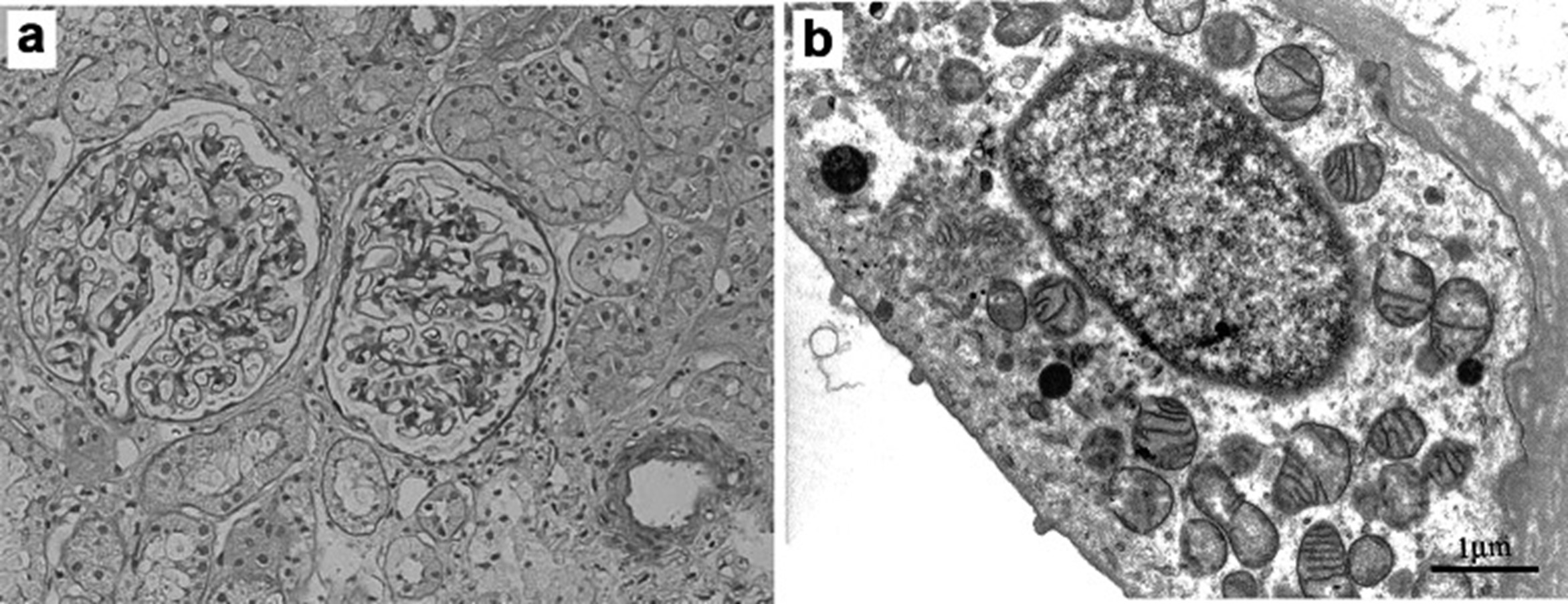 【佳学基因检测